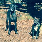 Brian Spitler - @lilly_bay_beh - Instagram