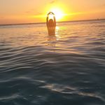 Brian D. Spitz - @brian.spitz - Instagram