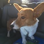 Brian Spivey - @wyattburp1 - Instagram