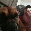 Brian spivey - @brian782828240 - TikTok