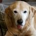 Bryan Spivey - Facebook