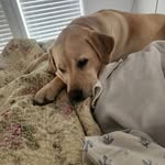 Brian Keith Spofford - @brianspofford - Instagram