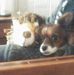 Brian Spriggs - Facebook