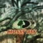 brianspriggs - @brianspriggs3779 - Instagram