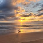 Brian Springfield - @bspringys - Instagram