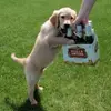 Brian Sprinkman - @briansprinkman - TikTok