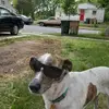 bri in mad town - @brianstroup25 - TikTok