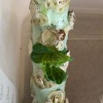 Brian Russels Sprout - @tjsbrusselssprout - Instagram