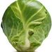 Brian Sprout - Facebook