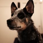 Brian Spurlock - @briancraigjr - Instagram