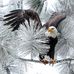 Brian Stachowski - Facebook