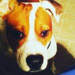 brian staggs - @staggs_brian - Instagram