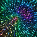 Brian Starkey - @brian.starkey.54 - Instagram