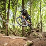 Brian Steele - @brianpsteele - Instagram