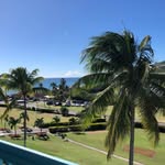 Brian Steele - @brian.steele.5011516 - Instagram