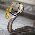 Brian Steenrod - @sax_cobra - Instagram