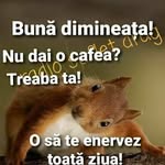 @brianstefan_xd - Instagram
