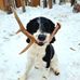 Brian Stefanich - Facebook