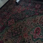 Brian Stein - @brian.stein.754 - Instagram