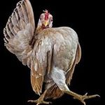 Brian Stempien - @brian.k.stempien - Instagram