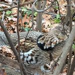 Brian Stenseth - @brianstenseth - Instagram