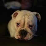 Brian Stenseth - @brian.stenseth - Instagram