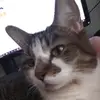 brianstenzel107 - @brianstenzel107 - TikTok