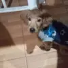 brianstephanovale - @brianstephanovale - TikTok