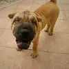 brianstephanozava - @brianstephanozava - TikTok
