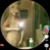Brian stepp Osorio - @2010rhlmjp - TikTok