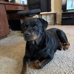 Brian Sternberg - Facebook