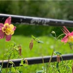 Brian Sternberg - @brian.sternberg.102 - Instagram