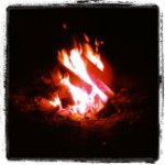 Brian Sterner - @chefsterner - Instagram