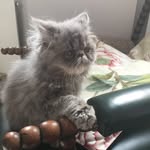 Brianstickman - @brianstickman17 - Instagram