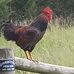 Brian Stickley - Facebook
