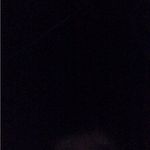 Brian Stiefel - @brianstiefel3 - Instagram