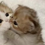 Brian - @brianstilllearning - Instagram