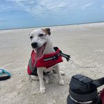 Brian Stine - @brian.stine - Instagram