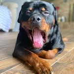 Brian Stine - @stiner74 - Instagram