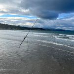 Bryan Stitt - @brian_stitt_fishing_adventures - Instagram