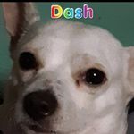 brian st.john - @dash_cleo_rico - Instagram