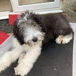 Brian Stocker - @aceangler1 - Instagram