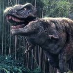 Brian Stockman - @drbaxterstockman - Instagram