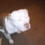 Brian Stoneberger - @brian.3890 - Instagram