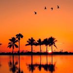 Brian Stoneburner - @brian.stoneburner - Instagram