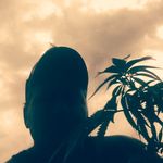Brian Stoneburner - @brian.stoneburner.16 - Instagram