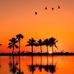 Brian Stoneburner - Facebook