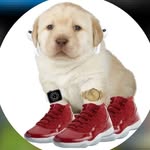 @brian_storms05 - Instagram