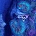 Brian Stollar - Facebook
