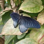 Brian Strachan - @brianstrachan8 - Instagram